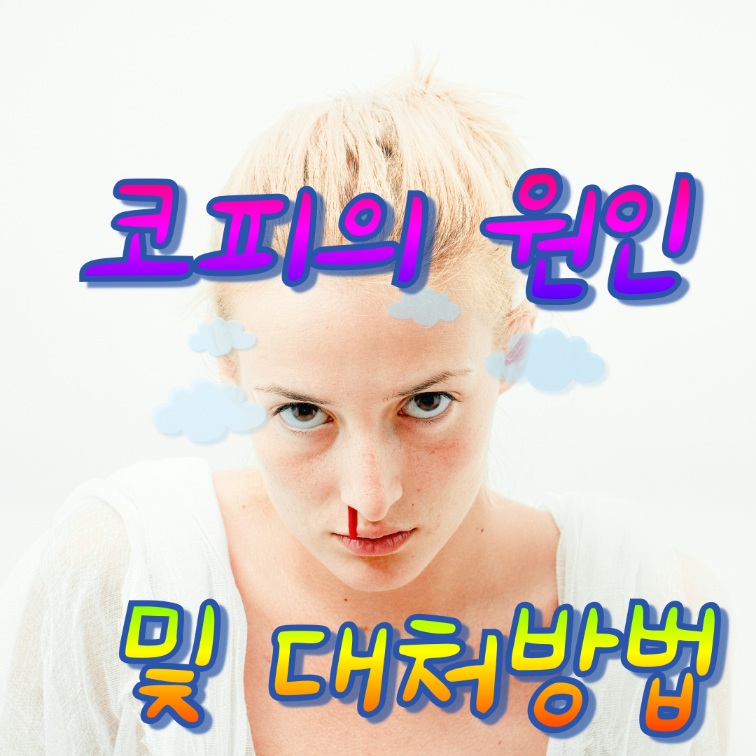 코피의 원인 및 대처방법