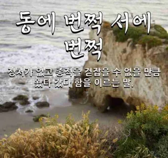 동에 번쩍 서에 번쩍 동해 번쩍 서해 번쩍 헷갈리는 올바른 표현 정리_23