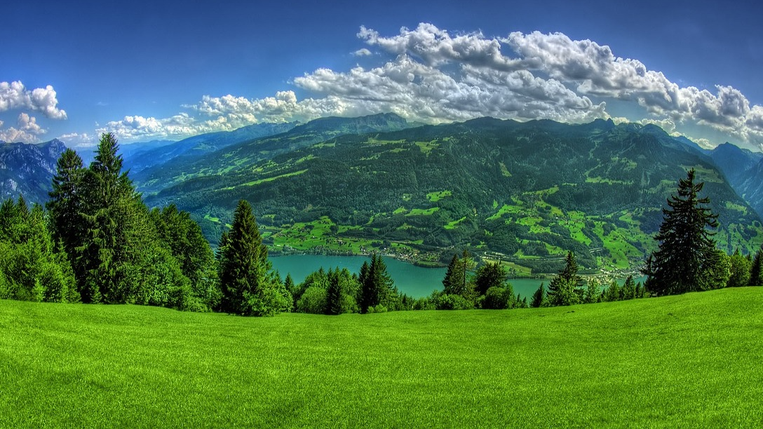 미세먼지 저감법, 세계가 주목하는 해결책