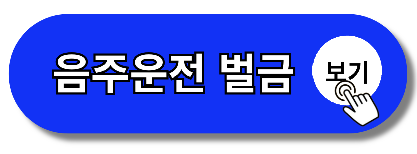 음주운전벌금 기준 조회 분할납부 사면(+김호중)