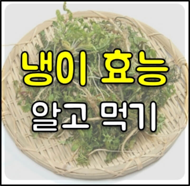 냉이-효능-썸네일