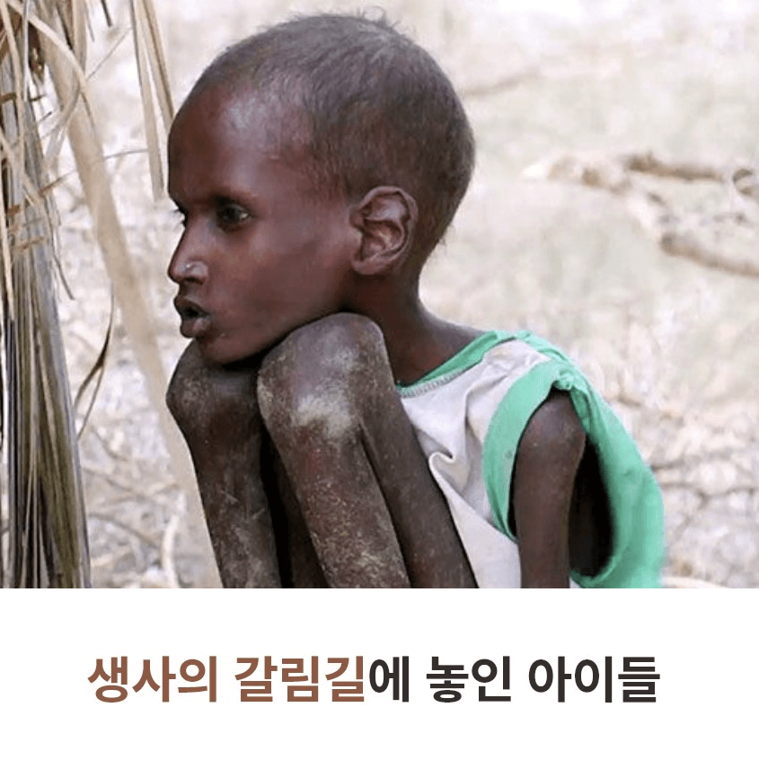 월드비전 케냐 투르카나 죽어가는 아이들 썸네일