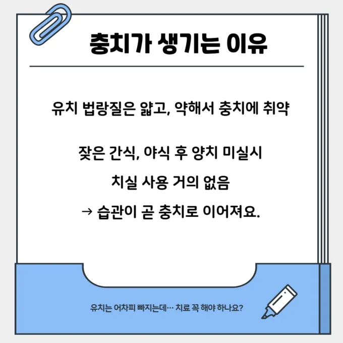 유치 충치 원인
