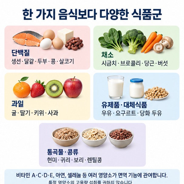 노년기 식사에서 단백질 채소 과일 유제품 통곡물을 골고루 구성하는 방법을 보여주는 이미지