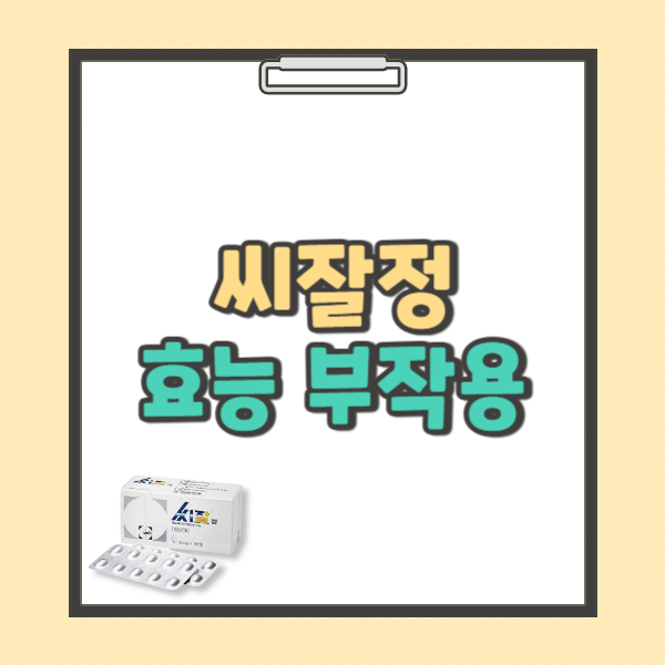 씨잘정 5밀리그램 효능 부작용 가격