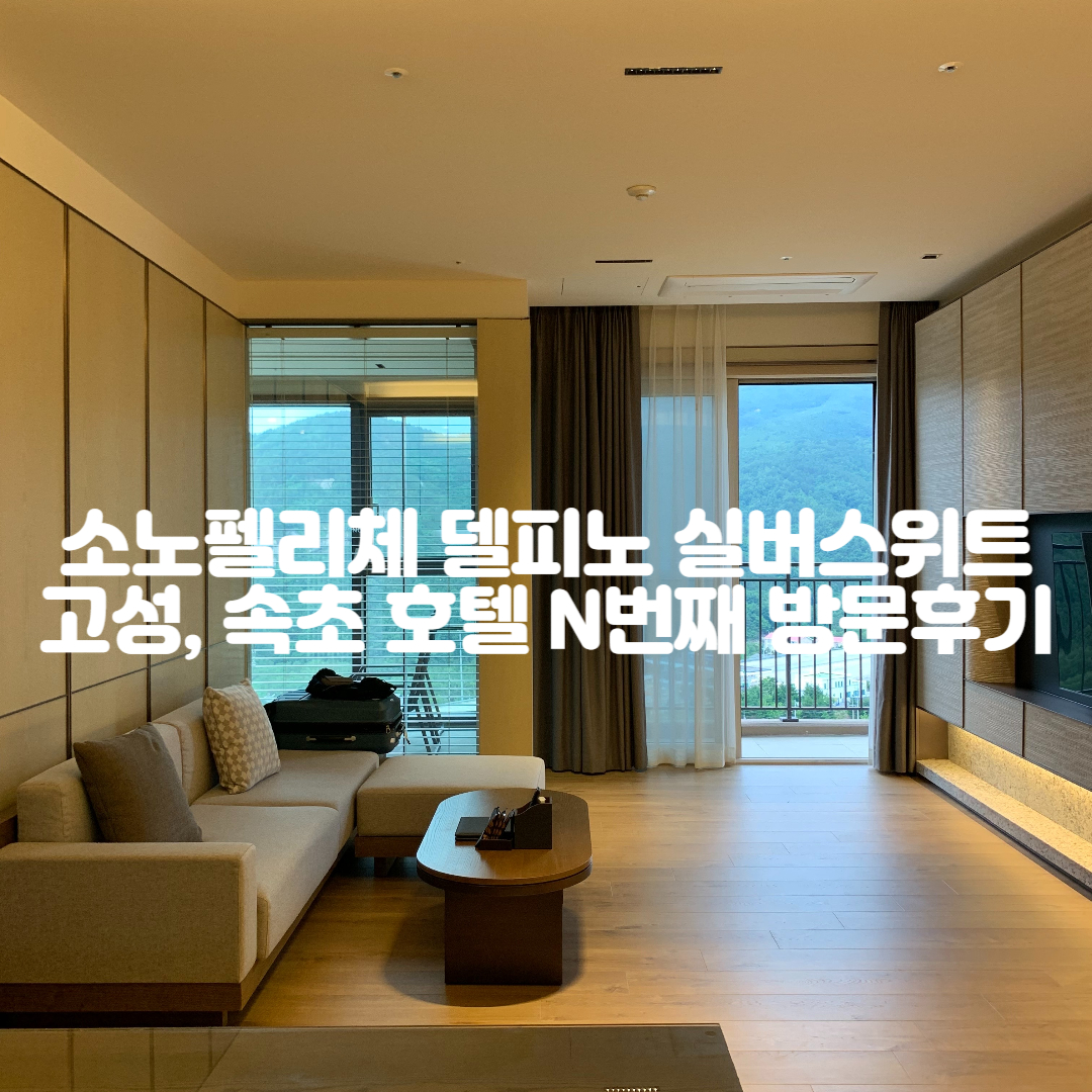 소노펠리체-델피노-실버스위트-고성-속초-호텔