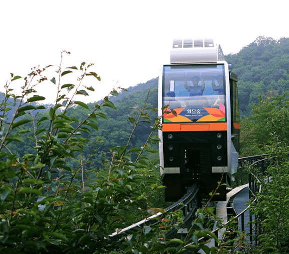 단풍축제 화담숲