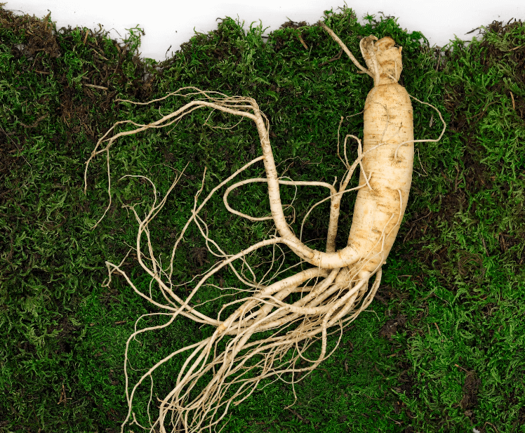 칠순잔치, 고희연잔치 선물 홍삼