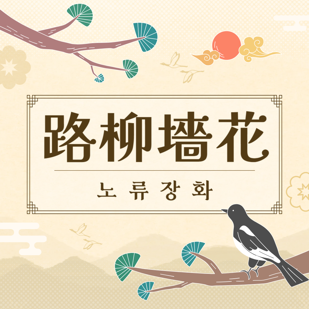 노류장화