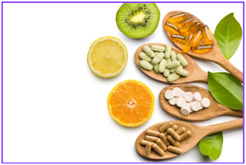 반려동물 건강식 필수 건강식 7가지