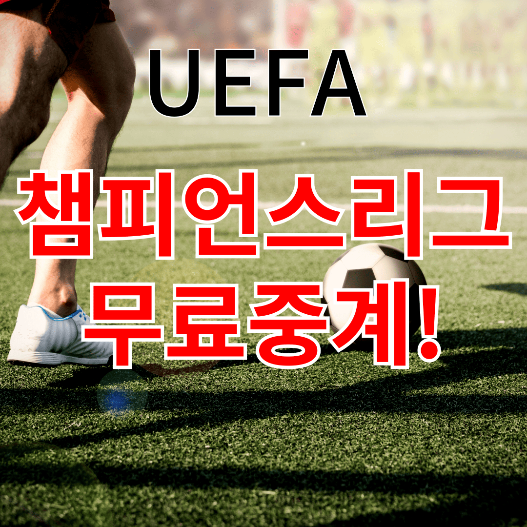 챔스 사진