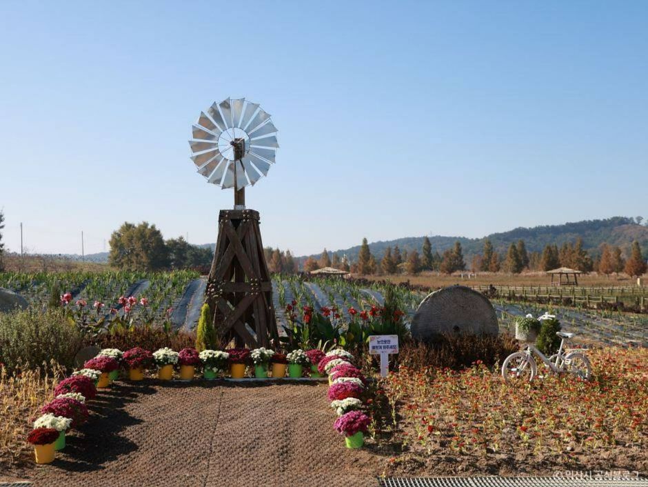 익산 가볼만한곳 베스트10