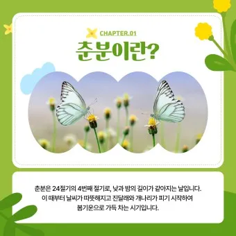 2025년 춘분 청명 봄 절기 인사말 이미지 일러스트_3