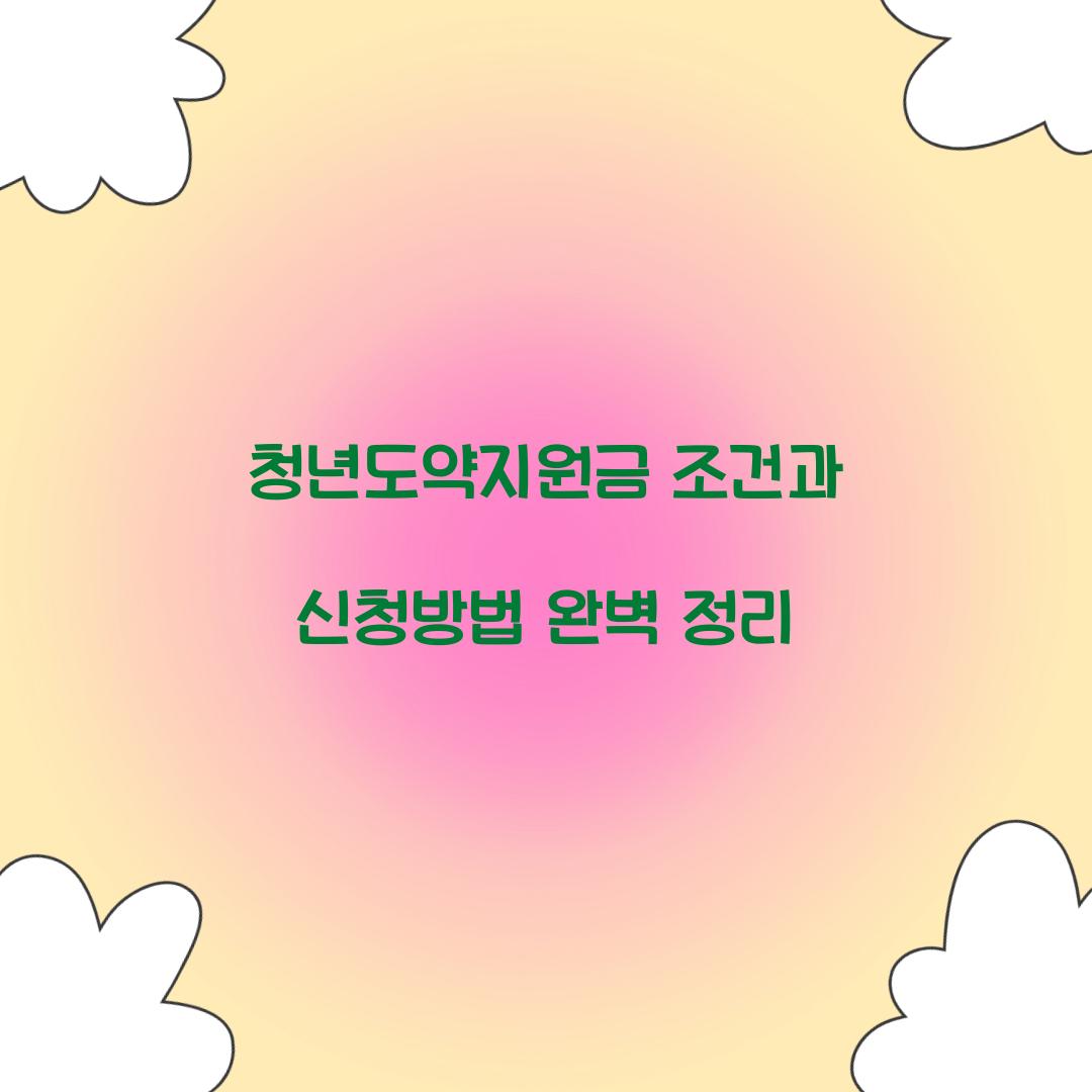 청년도약지원금
