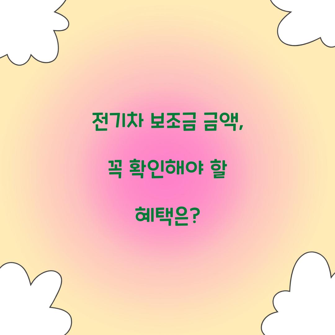 전기차 보조금 금액