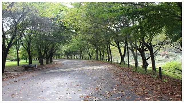 도명산
