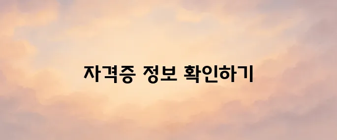 한국산업인력공단 큐넷 홈페이지 (www.q-net.or.kr)