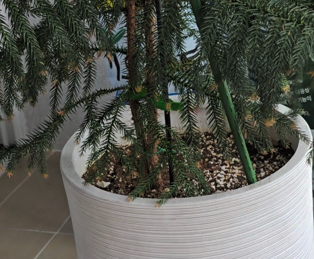 막대기로 화분의 테두리부분만 콕콕찔러줘요