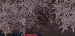 Tile 12