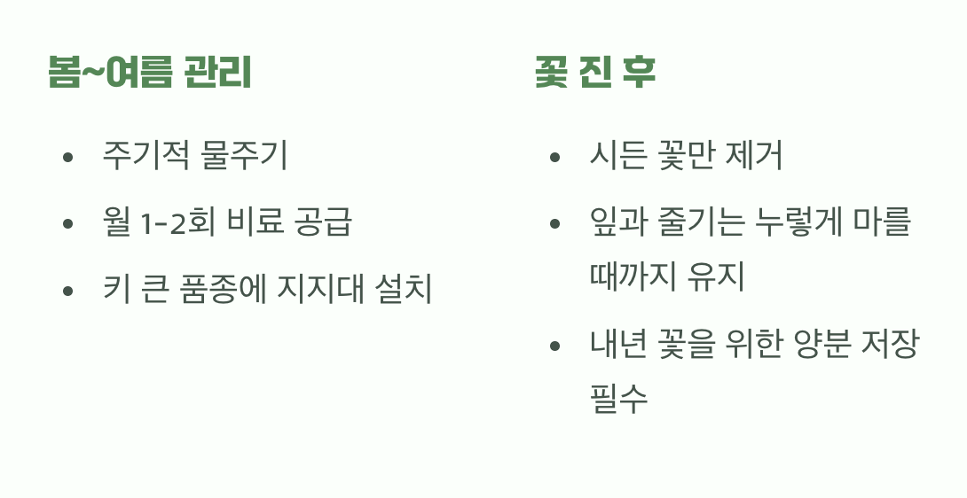 여왕의 품격을 위한 관리