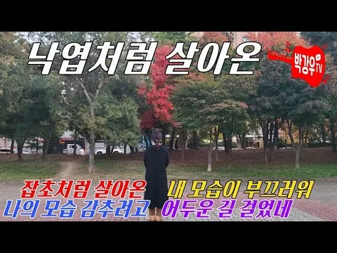 낙엽처럼 살아온 내 모습이 악보 완벽 연주 가이드_8