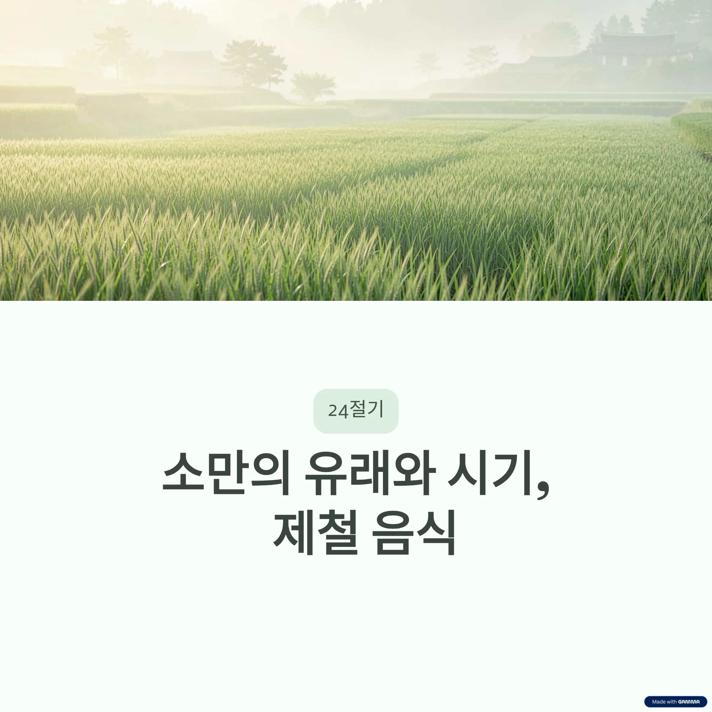 2026-소만의-유래