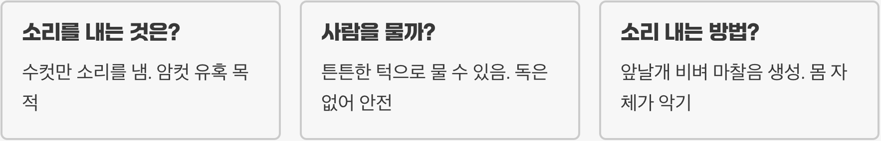 여치 이름의 유래, 왜 '여치'라고 불리게 되었을까?