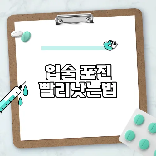 입술 포진 빨리낫는법