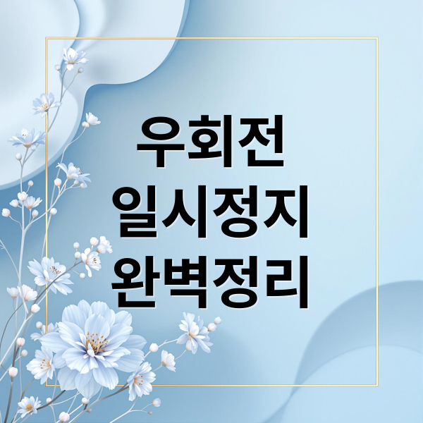 2026년 우회전 일시정지 의무: 완벽 가이드