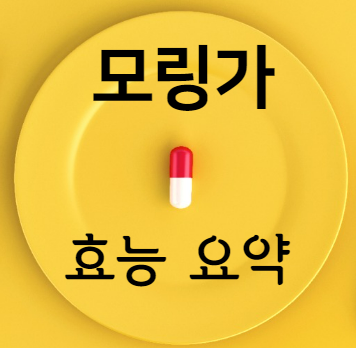 모링가 효능 요약
