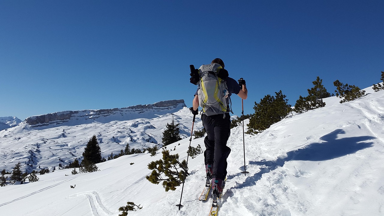 액티비티별 비교 스키