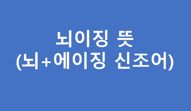 뇌이징 뜻