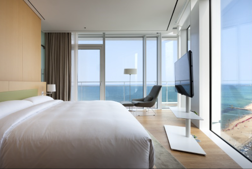 2025 강릉 경포 벚꽃축제