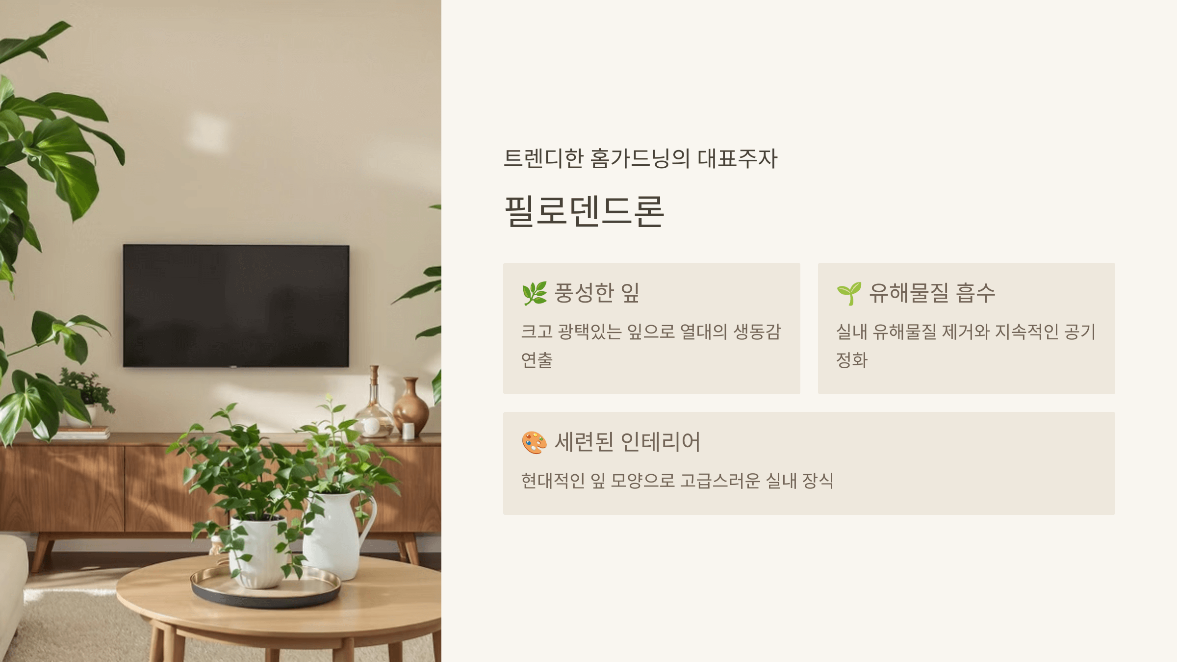 필로덴드론 - 자연스러운 공간 디자인