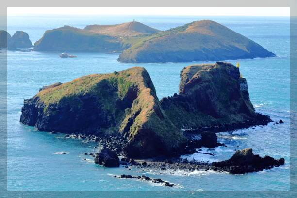 제주항공 수화물 규정 완벽 가이드