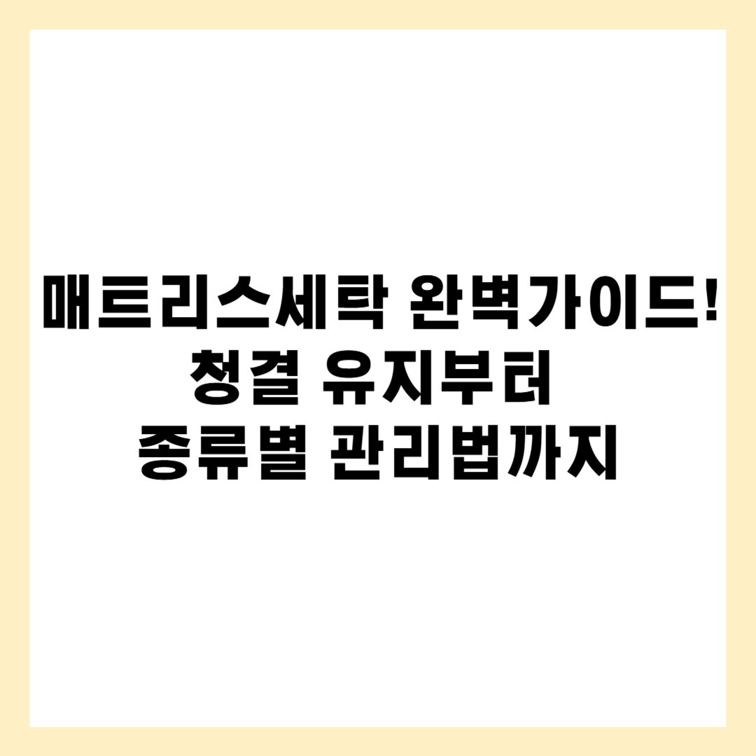 매트리스세탁 완벽가이드! 청결 유지부터 종류별 관리법까지