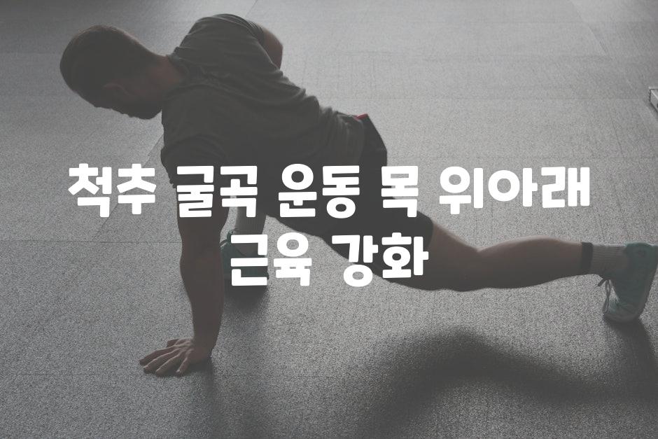 척추 굴곡 운동 목 위아래 근육 강화