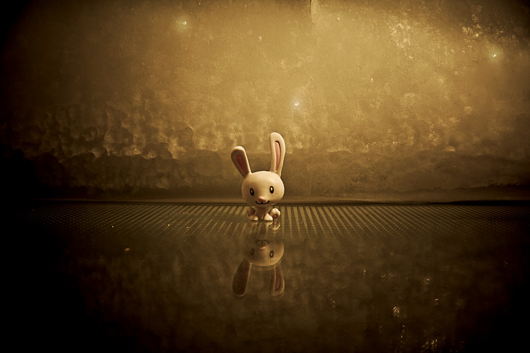 Animation