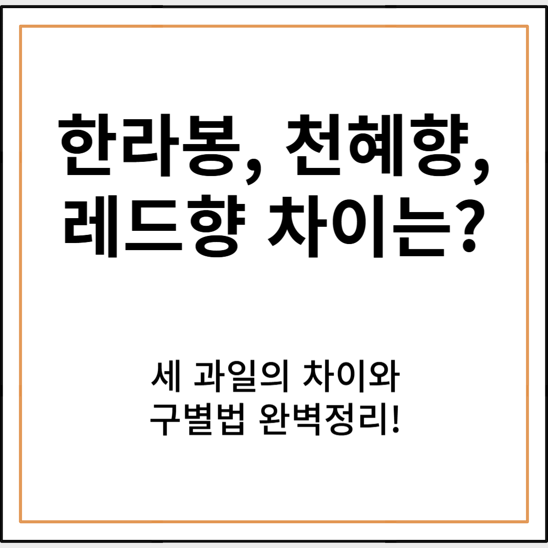 한라봉, 천혜향, 레드향 차이점 완벽 정리