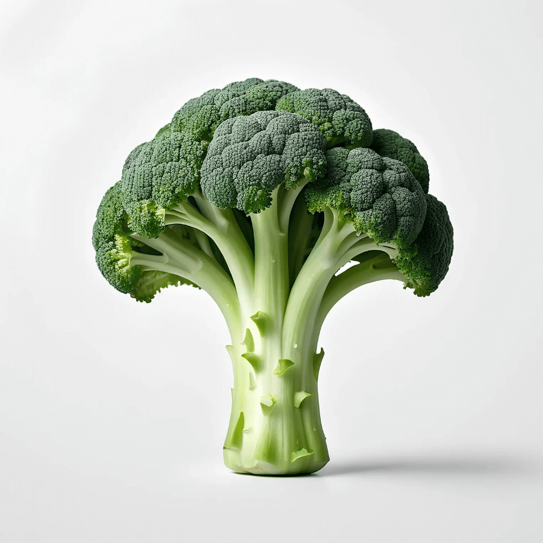 브로콜리 효능 부작용 