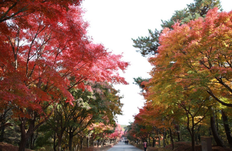 천안 독립기념관