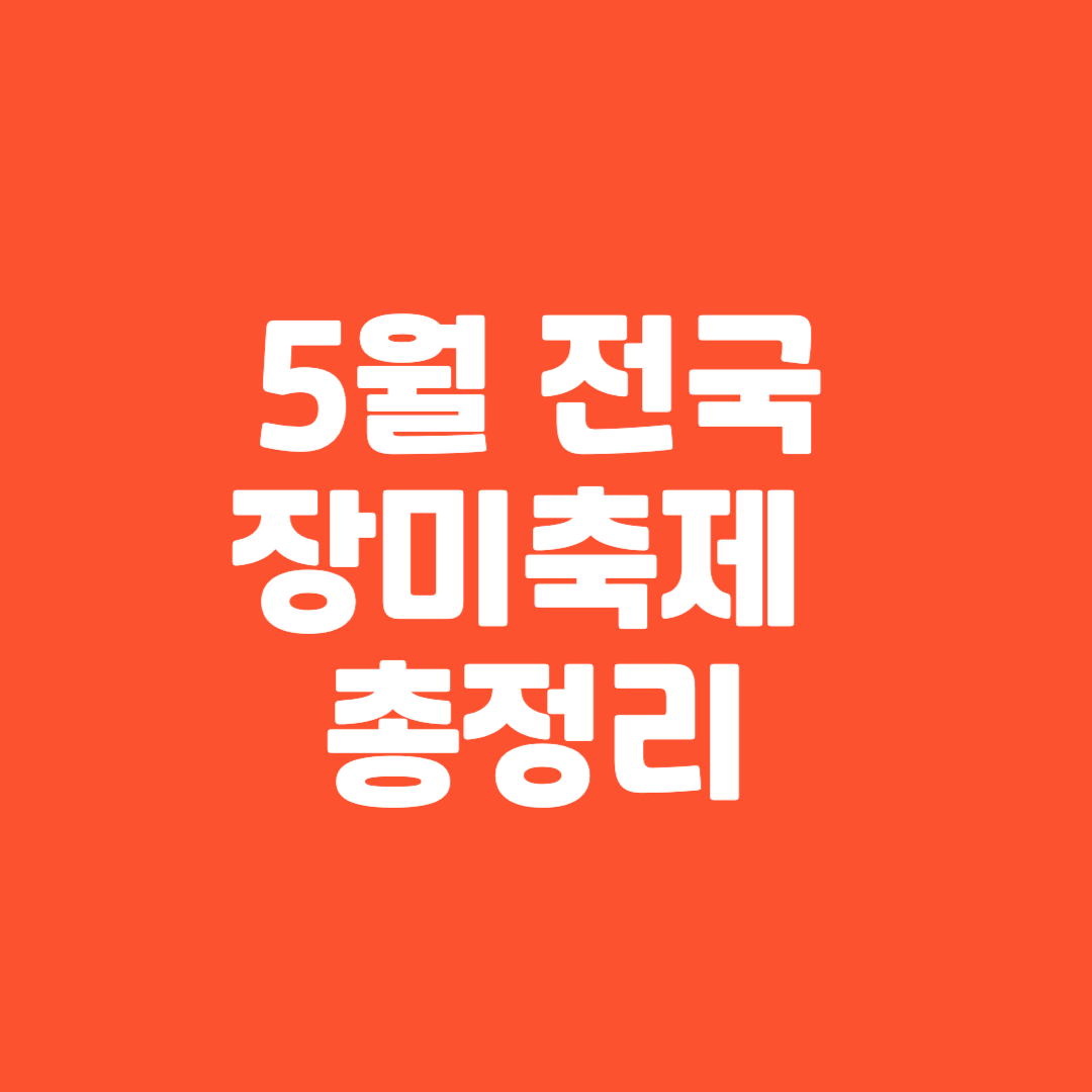 2025 5월 전국 장미 축제 총정리