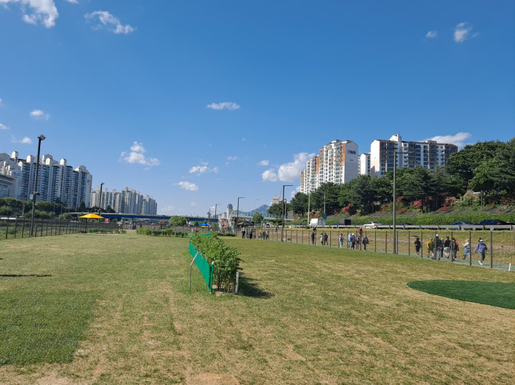 서울 중랑구립파크골프장 소개