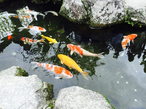 일본 여행 인기 도시 추천 후쿠오카 Fukuoka