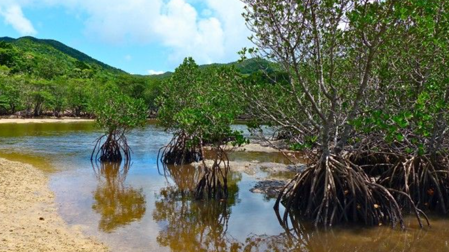 이시가키지마 여행지