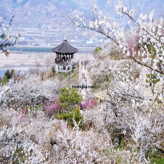 광양 가볼만한곳 베스트10