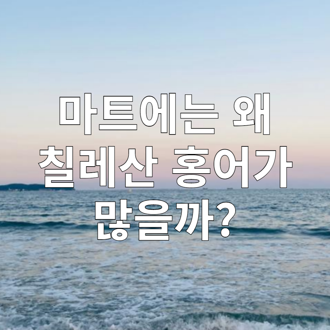 칠레산 홍어