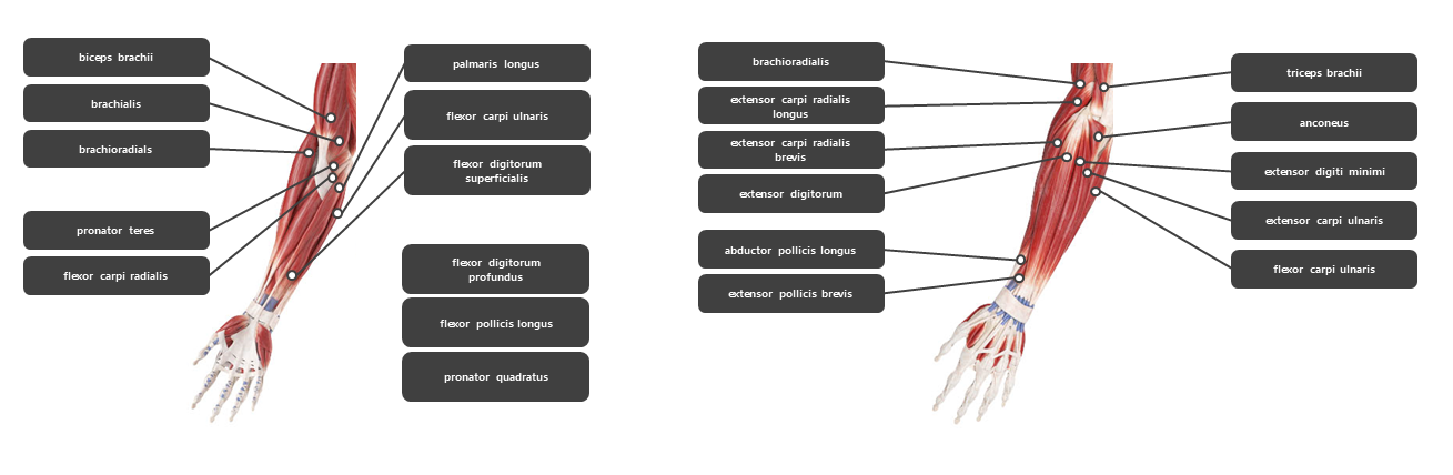 팔꿈치 주변 혈자리
