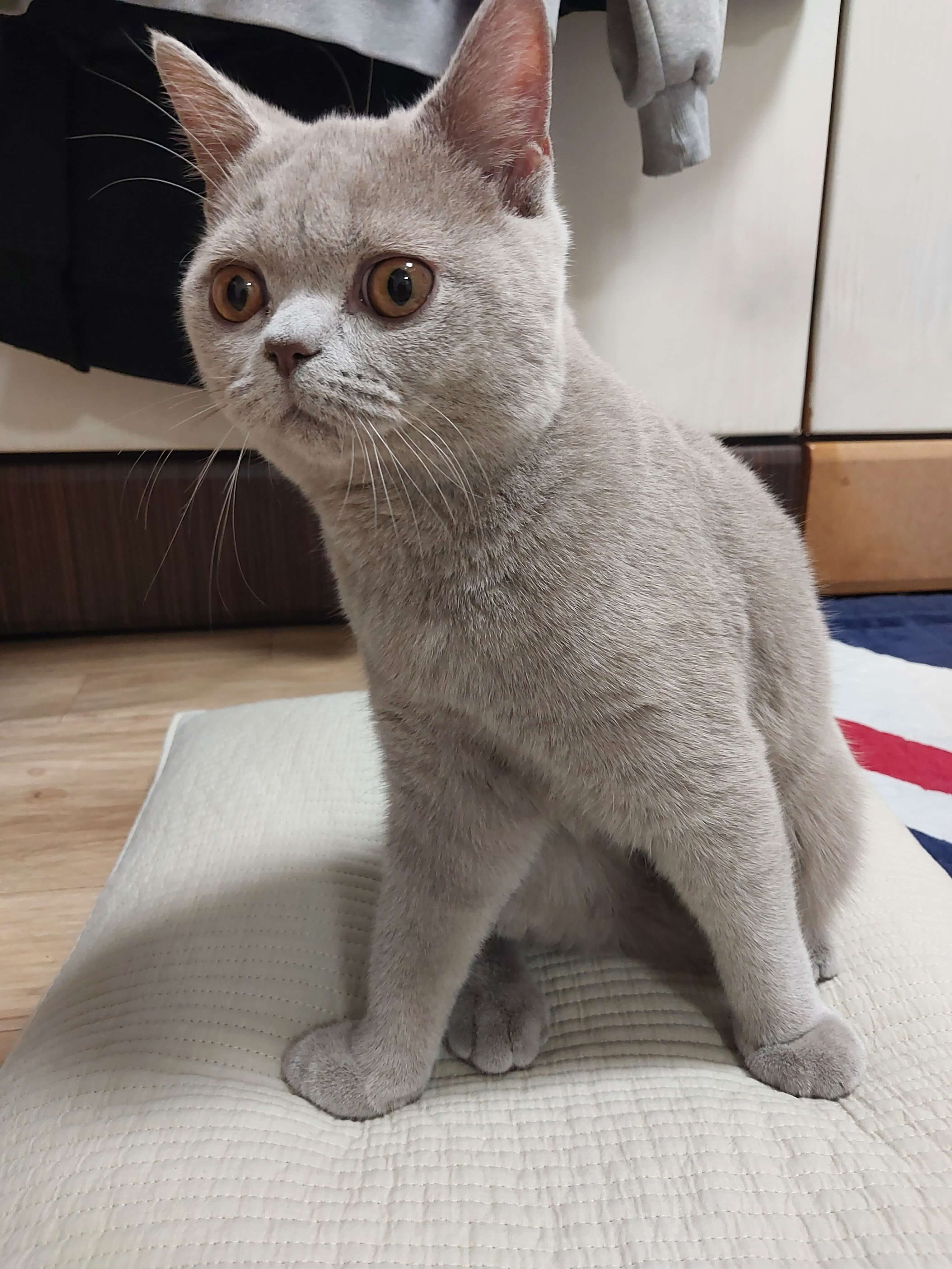 밥 먹자~ 소리에 눈이 동그래졌어요.