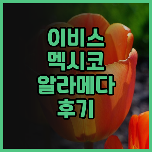 이비스 멕시코 알라메다 후기 청결하고